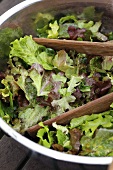 Mixed leaf salad in a metal bowl