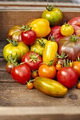 Stillleben aus verschiedenen Tomatensorten