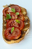 Toasted bread with tomatoes and basil