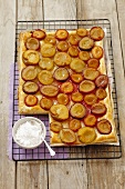Puff pastry cake with plums