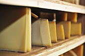 Various types of hard cheese (Gruyere, Beaufort, Appenzeller) in wooden shelves