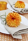 Place setting with fabric serviettes and dahlias