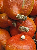 Lots of orange pumpkins (close-up)