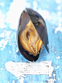 Fresh mussel from Barfleur (Normandy)