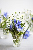 A bouquet of gentiana with asters
