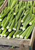 Okra pods in a crate