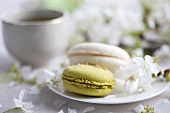 Green tea macaroons and champagne macaroons with cherry blossom