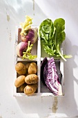 Vegetables in a partitioned box (white turnips, spinach, red cabbage and potatoes)