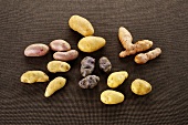 Various types of potatoes: Kipfler, Rosalinde, Linz, Bamberg, Ditta and truffle potatoes