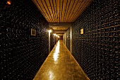 Bottles of Spumante in a cellar at the Winery Ferrari, Ravina, Trentino, Italy