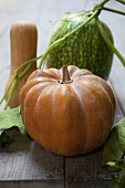 Various squashes with leaves