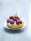 Cream tart with cherries