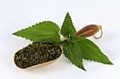 Nettle leaves, fresh and dried
