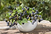 Fresh blackberries with leaves in a bowl