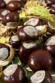 Sweet chestnuts with shells