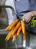 Washing carrots under running water