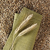 Ears of rye on napkin on rye grains