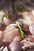 Raw chicken pieces with rosemary