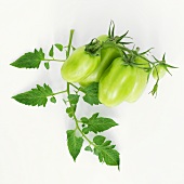 Green organic plum tomatoes