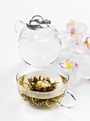 Jasmine tea with tea flower