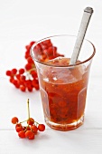 Rowanberry jam in glass