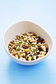 Mixed beans in a small bowl