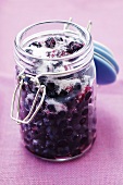 Sugared bilberries in a preserving jar (Vaccinium myrtillus)