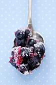 Sugared bilberries on spoon (Vaccinium myrtillus)