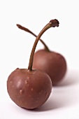 Two chocolate-dipped cherries