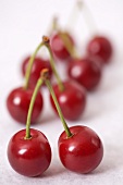 Pairs of sour cherries