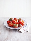 Oxheart tomatoes