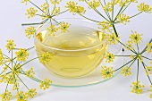 Fennel tea in glass cup and saucer, fennel flowers