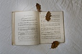 Music book with autumn leaves
