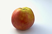 'Roter Grafensteiner' apple