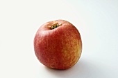 'Ruhm von Kirchwerder' apple