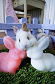 Live rabbit and Easter Bunny candles