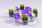 Table decoration of purple and white flowers and grass