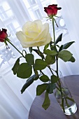 A cream-coloured rose and two red roses (table decoration)