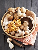 Mixed mushrooms in a small basket