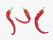 Three red chillies