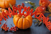Pumpkin, rowan berries and Halloween garland