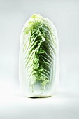 A Chinese cabbage