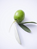 Green olive with leaves