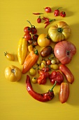 Verschiedene Paprika- und Tomatensorten