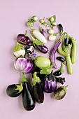 Various types of aubergines