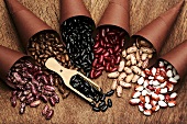 Various types of beans in paper bags and in wooden scoop