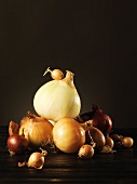 Still life with various types of onion