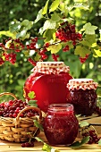 Jam in various jars under redcurrant bush