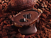 Pieces of chocolate, melted chocolate, cocoa beans, cocoa, cacao fruit