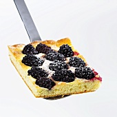 Piece of blackberry cake on server